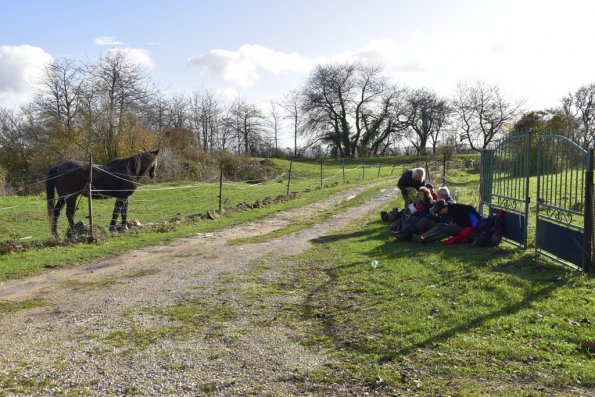 2023 11 Montigny (36)